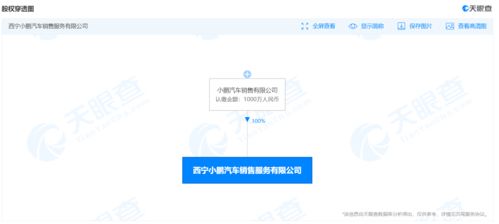 小鵬汽車新設銷售服務公司，注冊資本1000萬并涉足域名注冊服務
